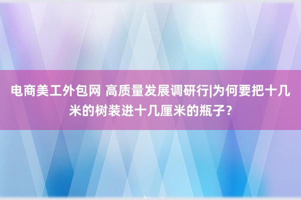 电商美工外包网 高质量发展调研行|为何要把十几米的树装进十几厘米的瓶子？